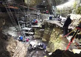En el fondo de la cueva Portalón han aparecido los restos de un suelo de hogar cerámico.
