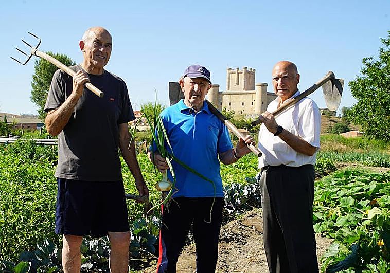 Toño Lorenzo, Julián Rosón y Jesús Gordoncillo en su huerta de Torrelobatón.