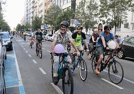 Participantes en la bicifestación organizada en Valladolid