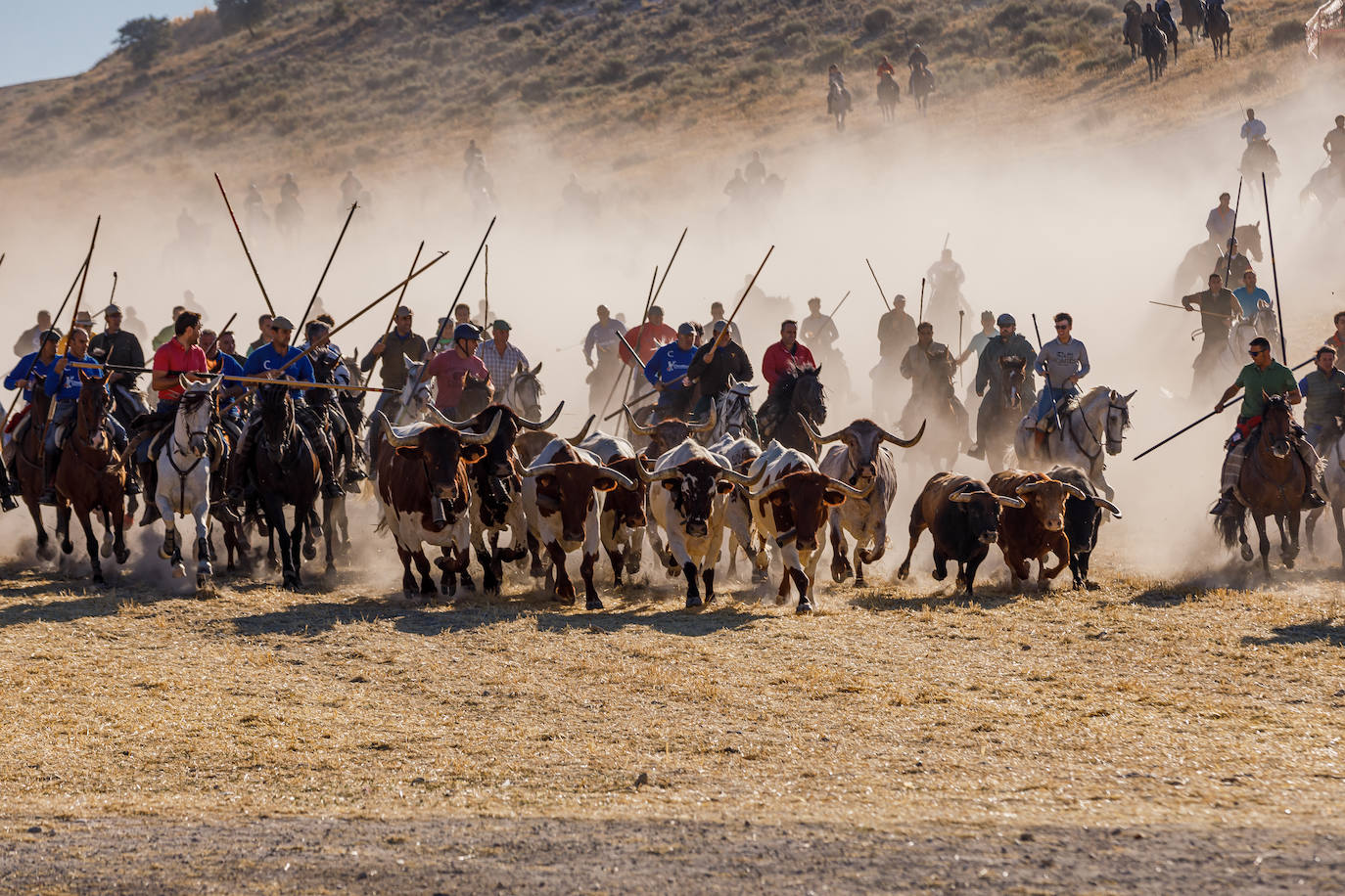 Caballistas dirigen la manada durante los pasados encierros de Cuéllar.