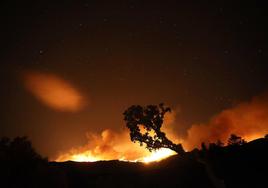 Incendio en Pinofranqueado (Cáceres).