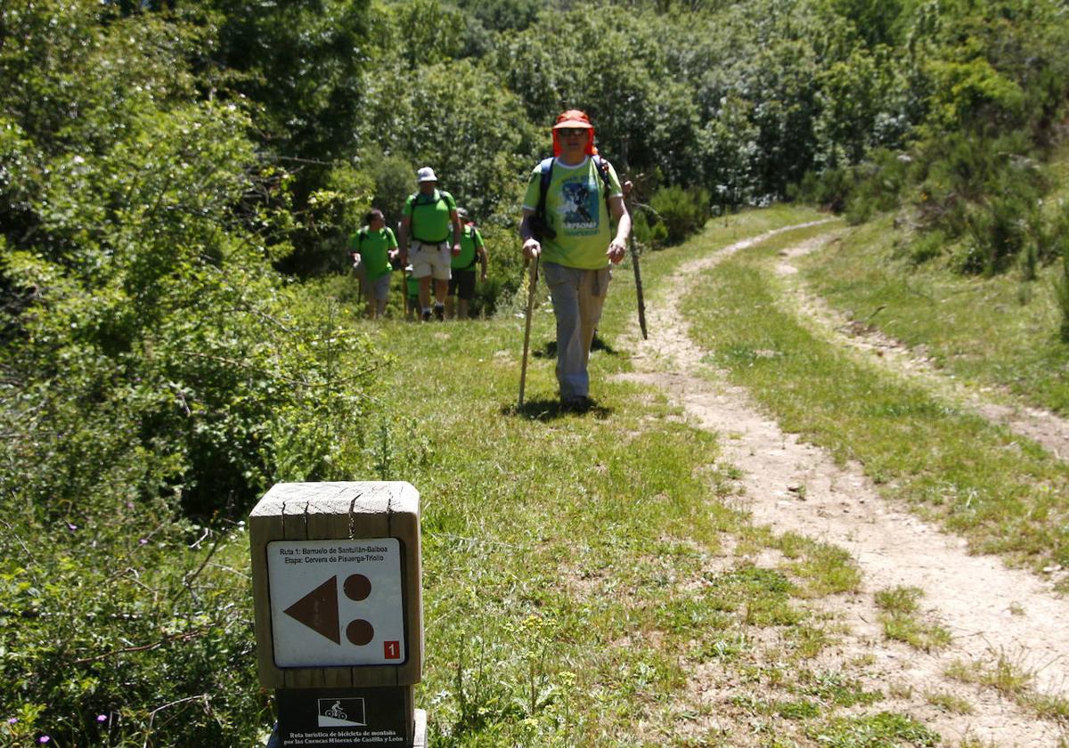 Excursionistas en una ruta por la Montaña Palentina.