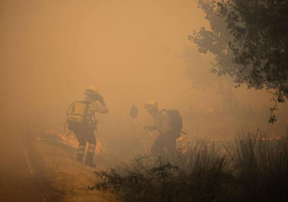 Dos brigadistas de Castilla y León trabajan en la extinción de uno de los incendios que asoló Zamora el verano pasado.