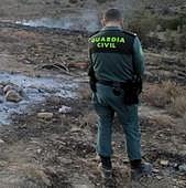 Cuatro investigados por ejercer de veterinarios sin titulación en Medina de Rioseco