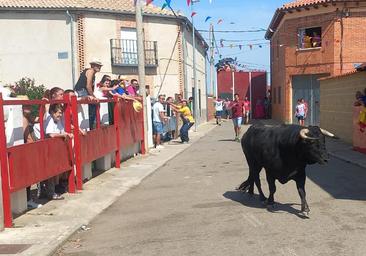 Muy grave un octogenario tras ser corneado en el encierro de Villafranca de Duero