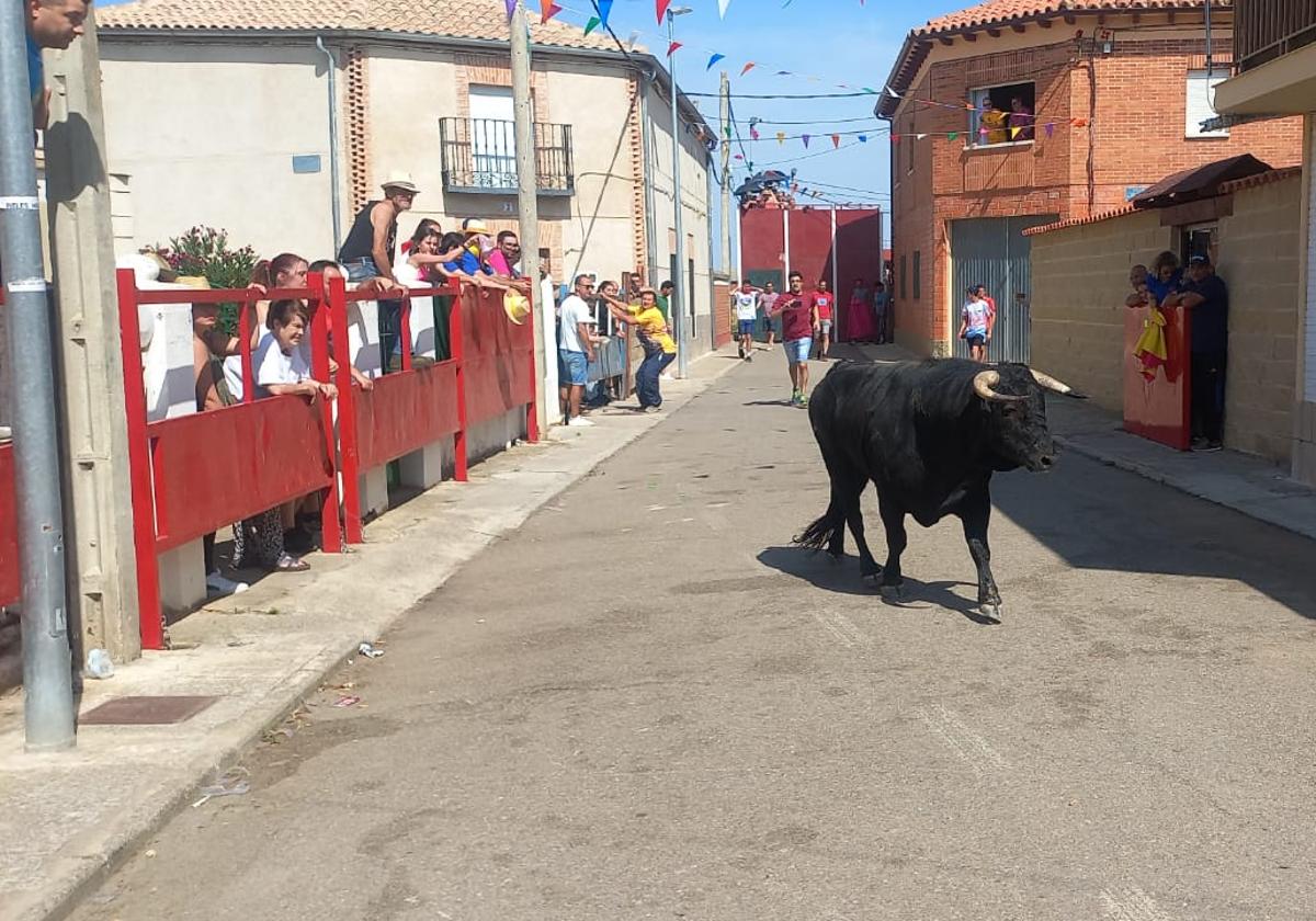 Encierro de Villafranca de Duero.