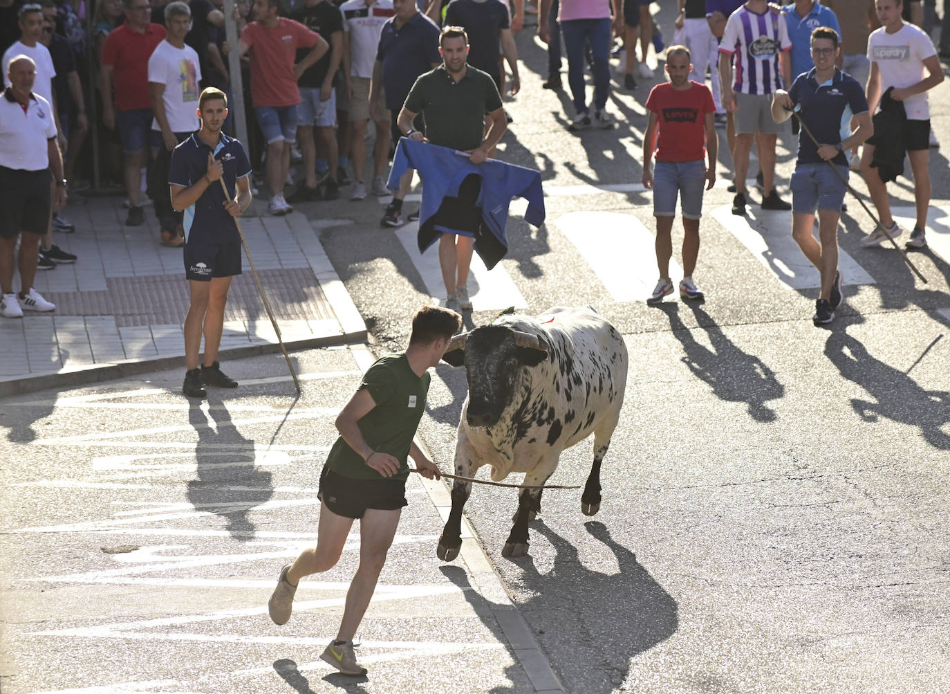 El encierro de las fiestas de Tudela en imágenes