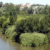 La casa de campo junto al Pisuerga que cuidaba el señor Palero