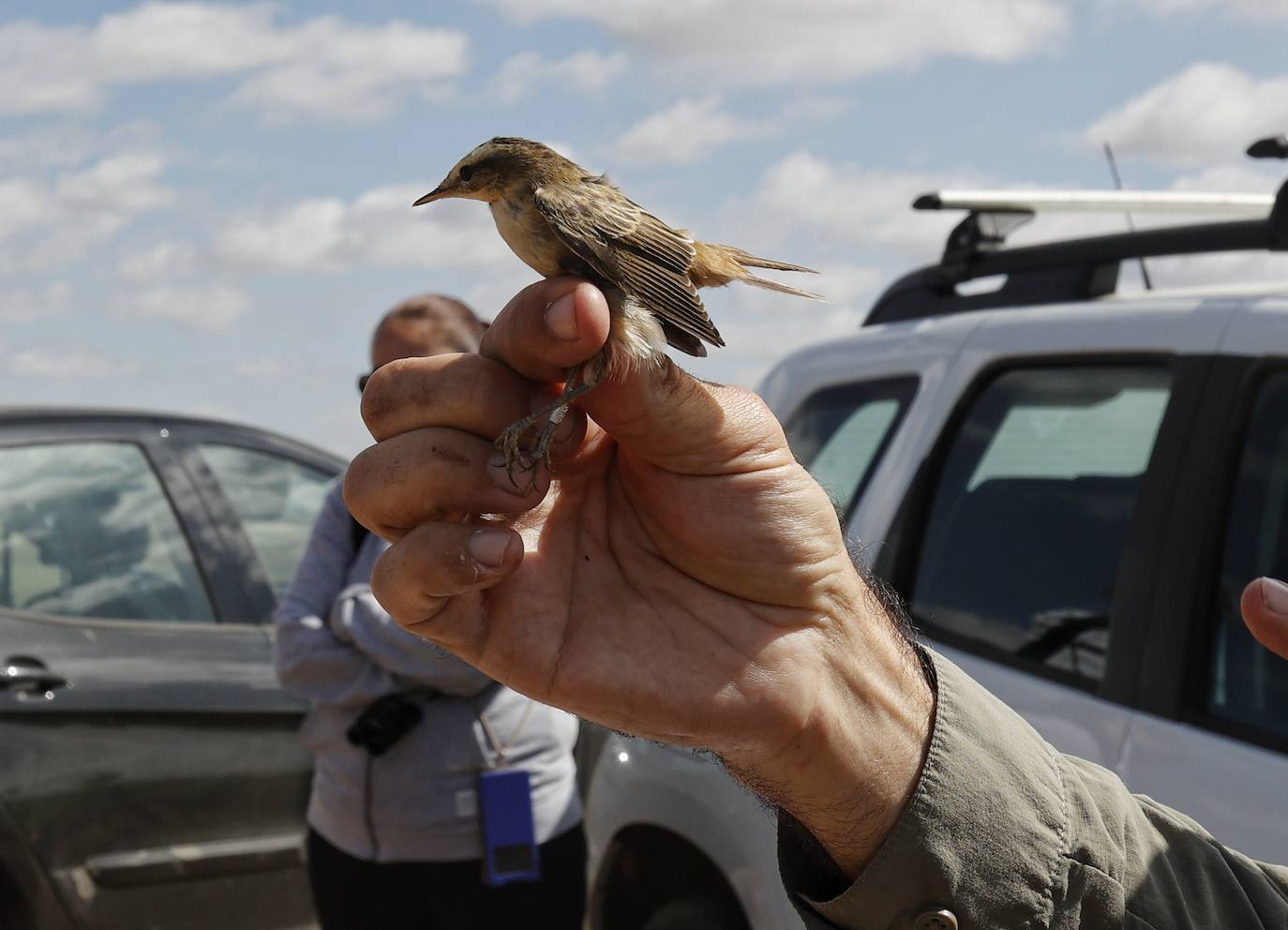 La Laguna de Boada reúne a una treintena de aficionados a la ornitología