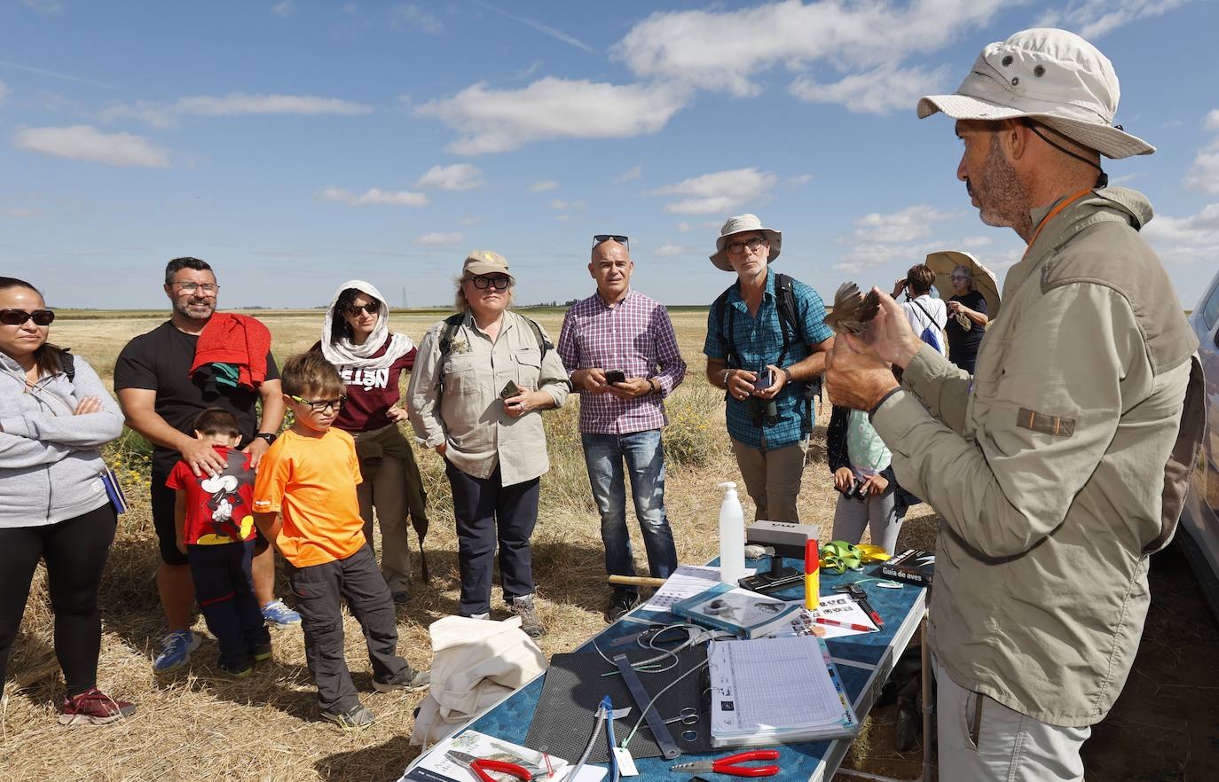 La Laguna de Boada reúne a una treintena de aficionados a la ornitología