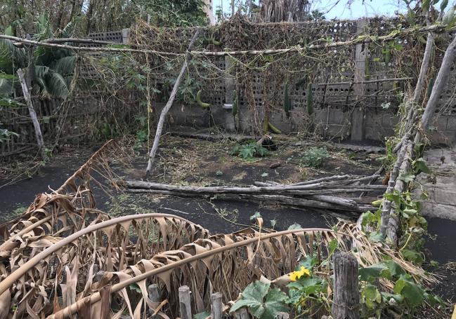 Ecobosque afectado por la lava y las cenizas.