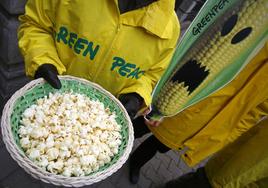 Un activista de la organización ecologista Greenpeace sostiene un cuenco de palomitas de maíz, uno de los alimentos que más se modifica genéticamente, durante una protesta contra los cultivos transgénicos.