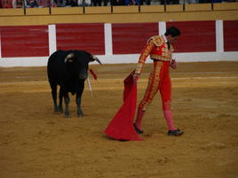El novillero iscariense Darío Domínguez.