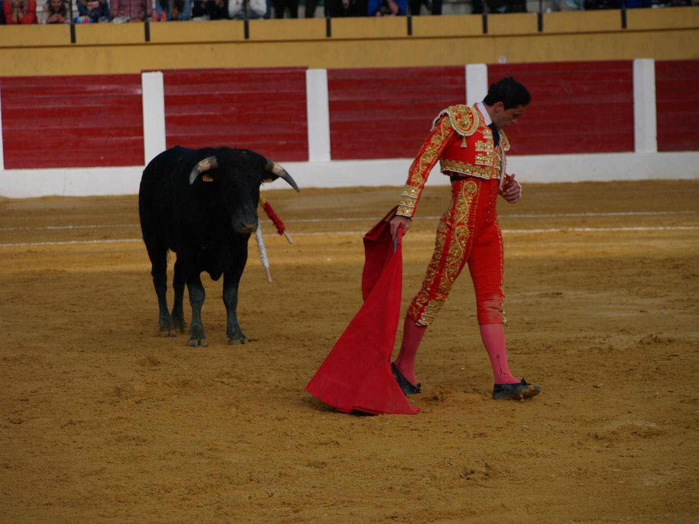 El novillero iscariense Darío Domínguez.