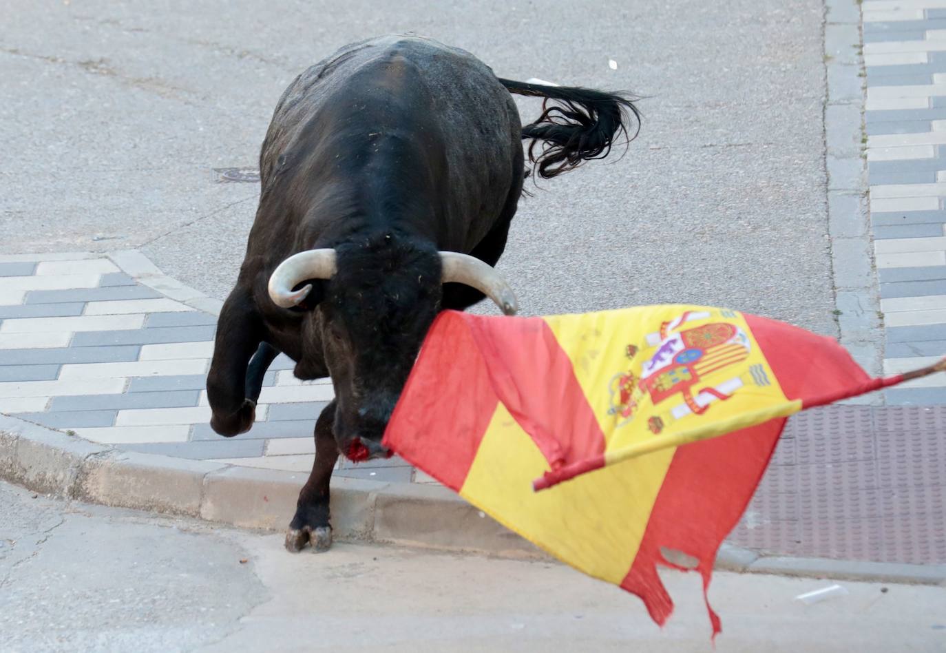 El encierro de La Seca, en imágenes