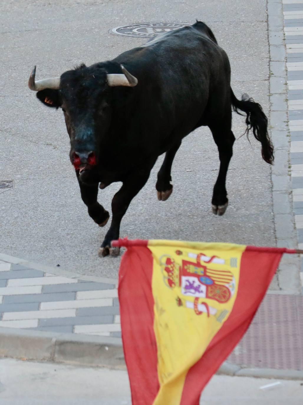 El encierro de La Seca, en imágenes