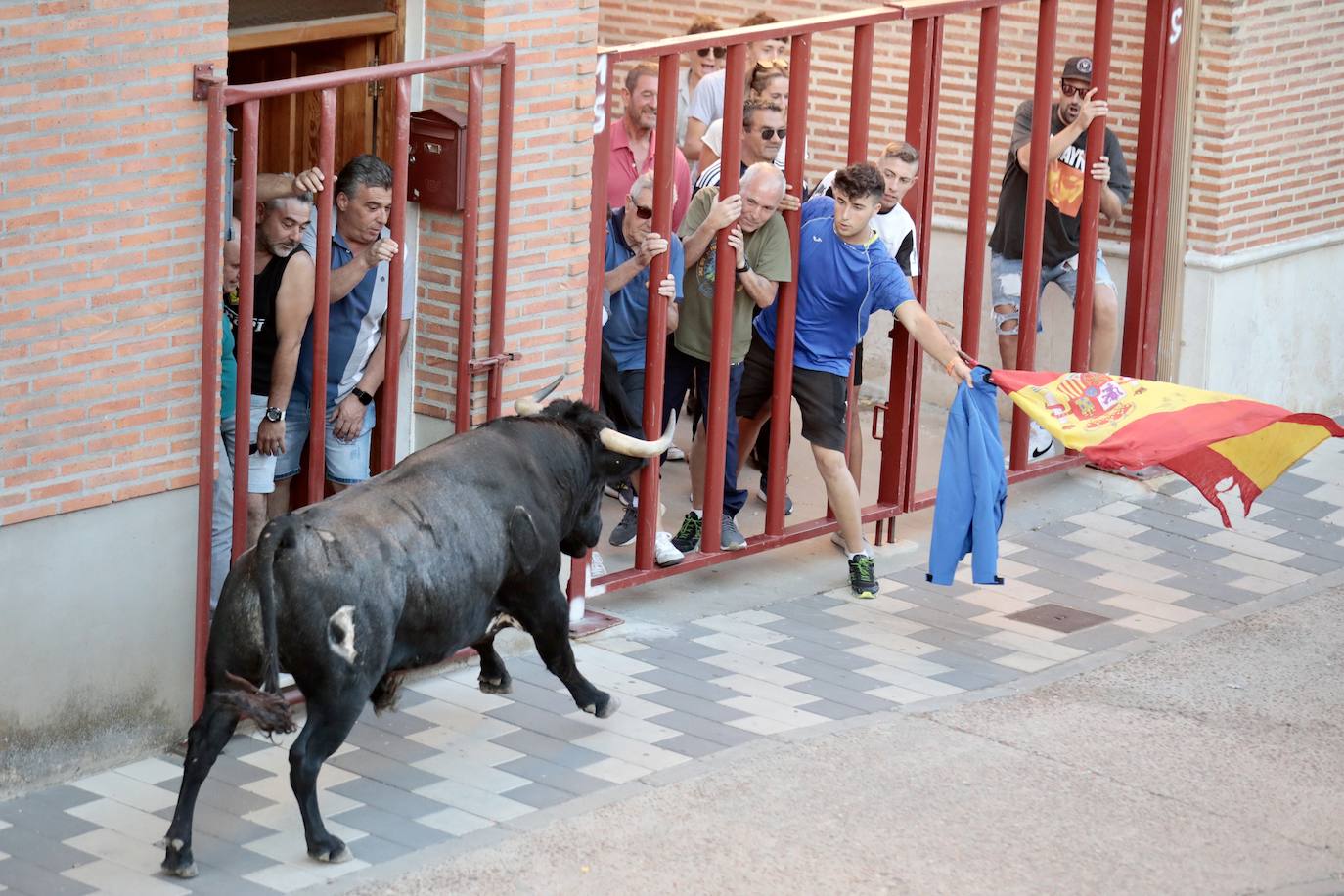 El encierro de La Seca, en imágenes