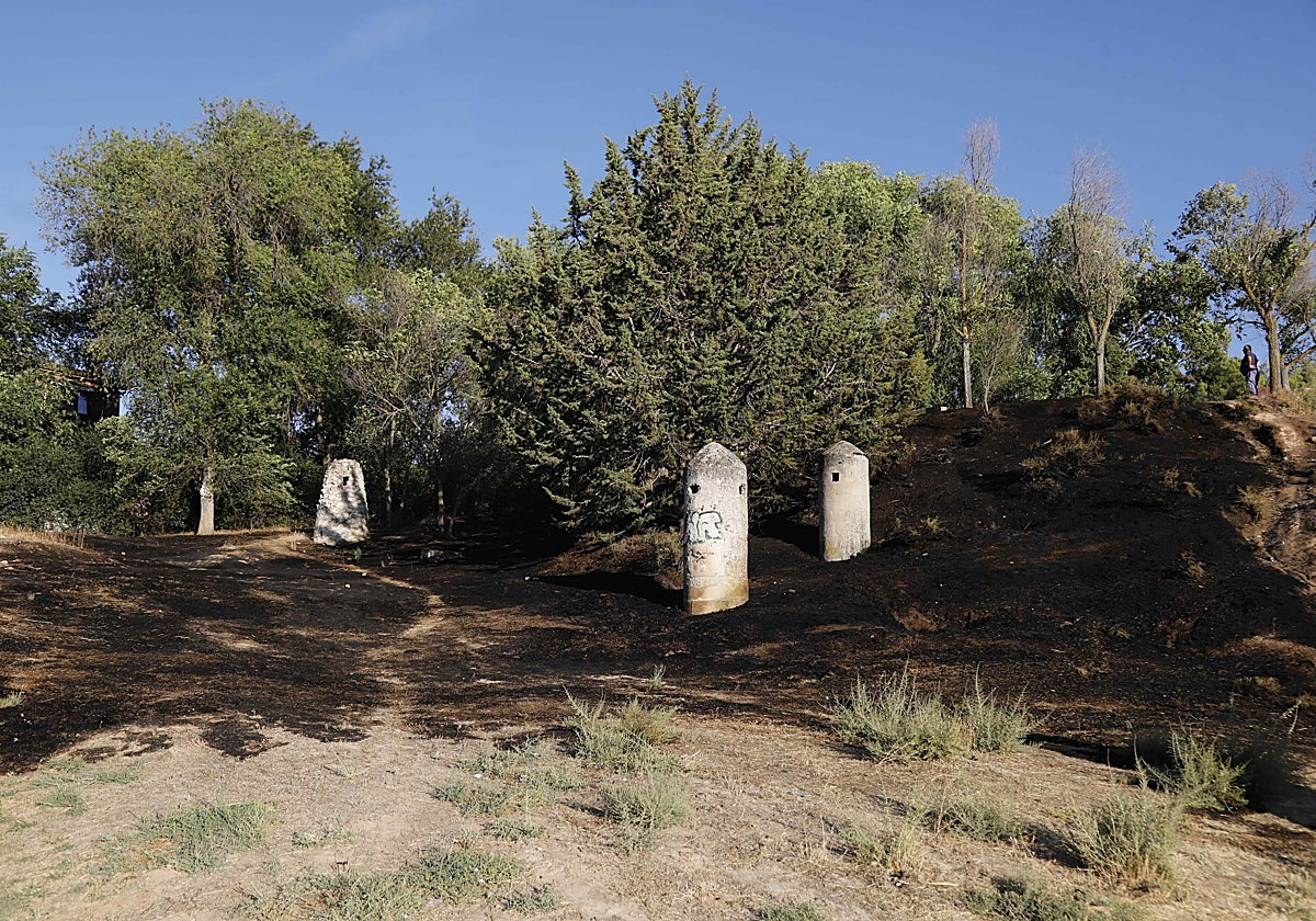 Zona quemada bajo en torno al parque de San Vicente.