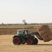 La cosecha cae a la mitad y junto a la de 2017 se convierte en la peor en una década