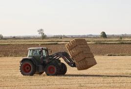 Un tractor recoge las pacas en Tierra de Campos.