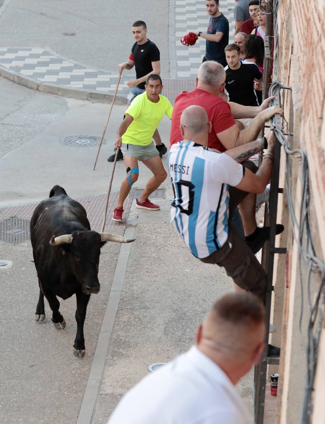 El segundo encierro de toros de La Seca, en imágenes