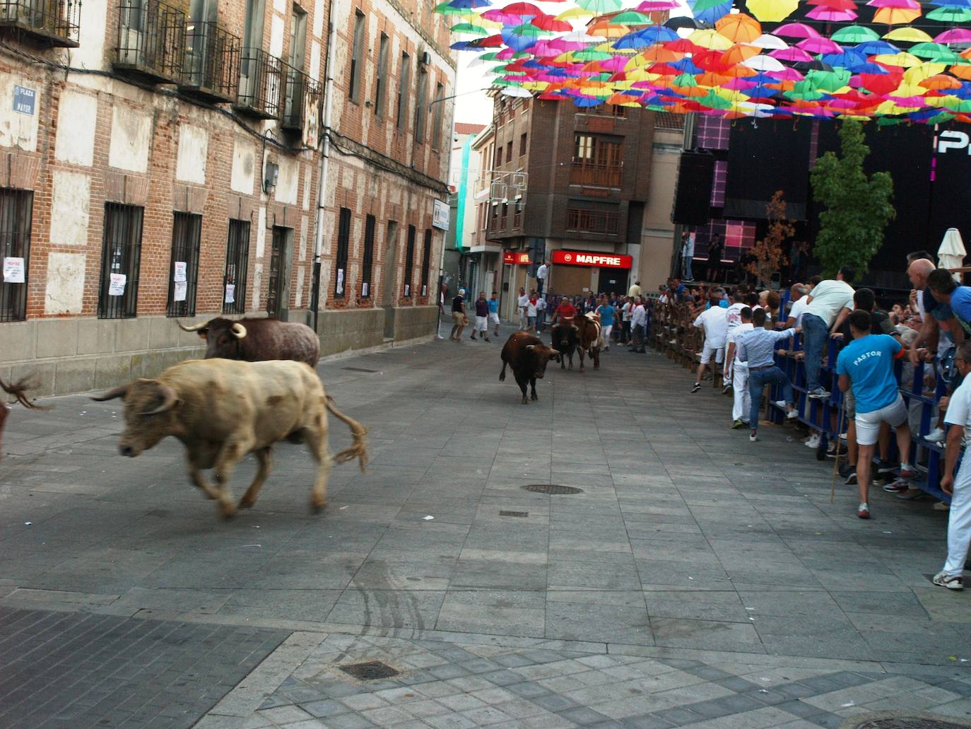 El primer día de las fiestas populares de agosto de Íscar, en imágenes (1/2)