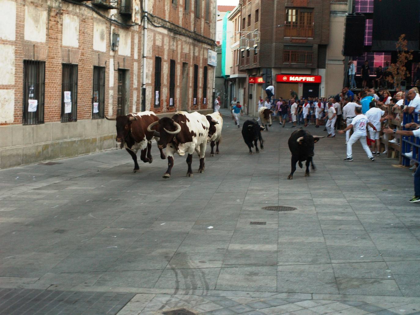 El primer día de las fiestas populares de agosto de Íscar, en imágenes (1/2)