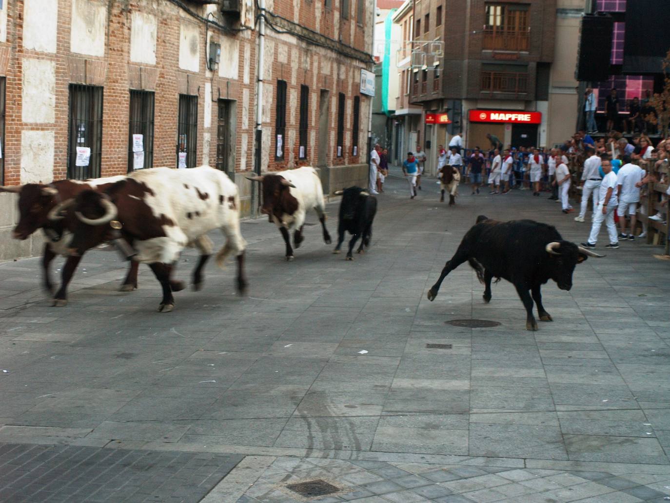 El primer día de las fiestas populares de agosto de Íscar, en imágenes (1/2)