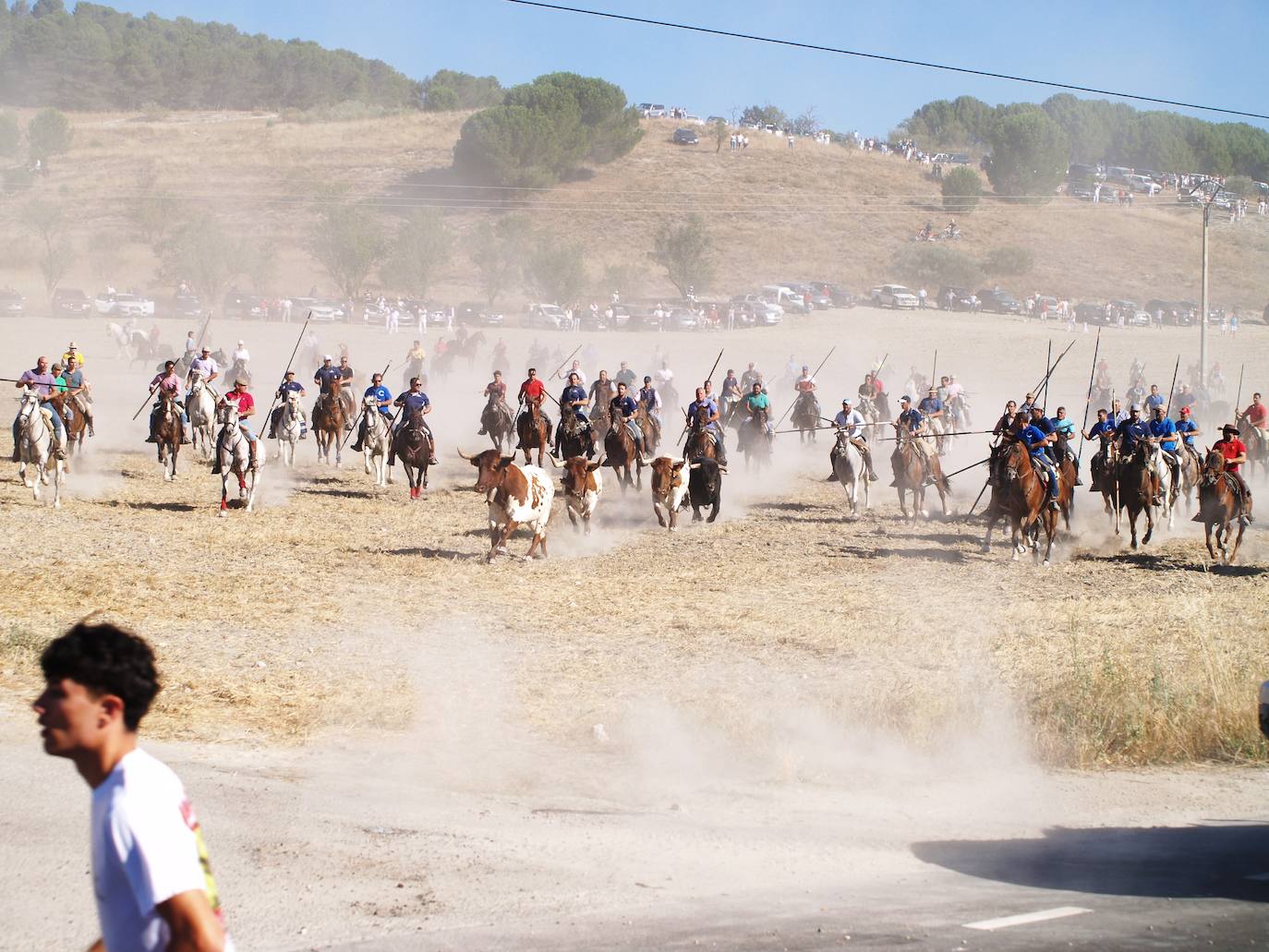 El encierro mixto de Íscar, en imágenes