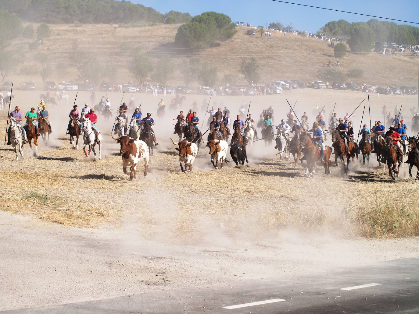 El encierro mixto de Íscar, en imágenes