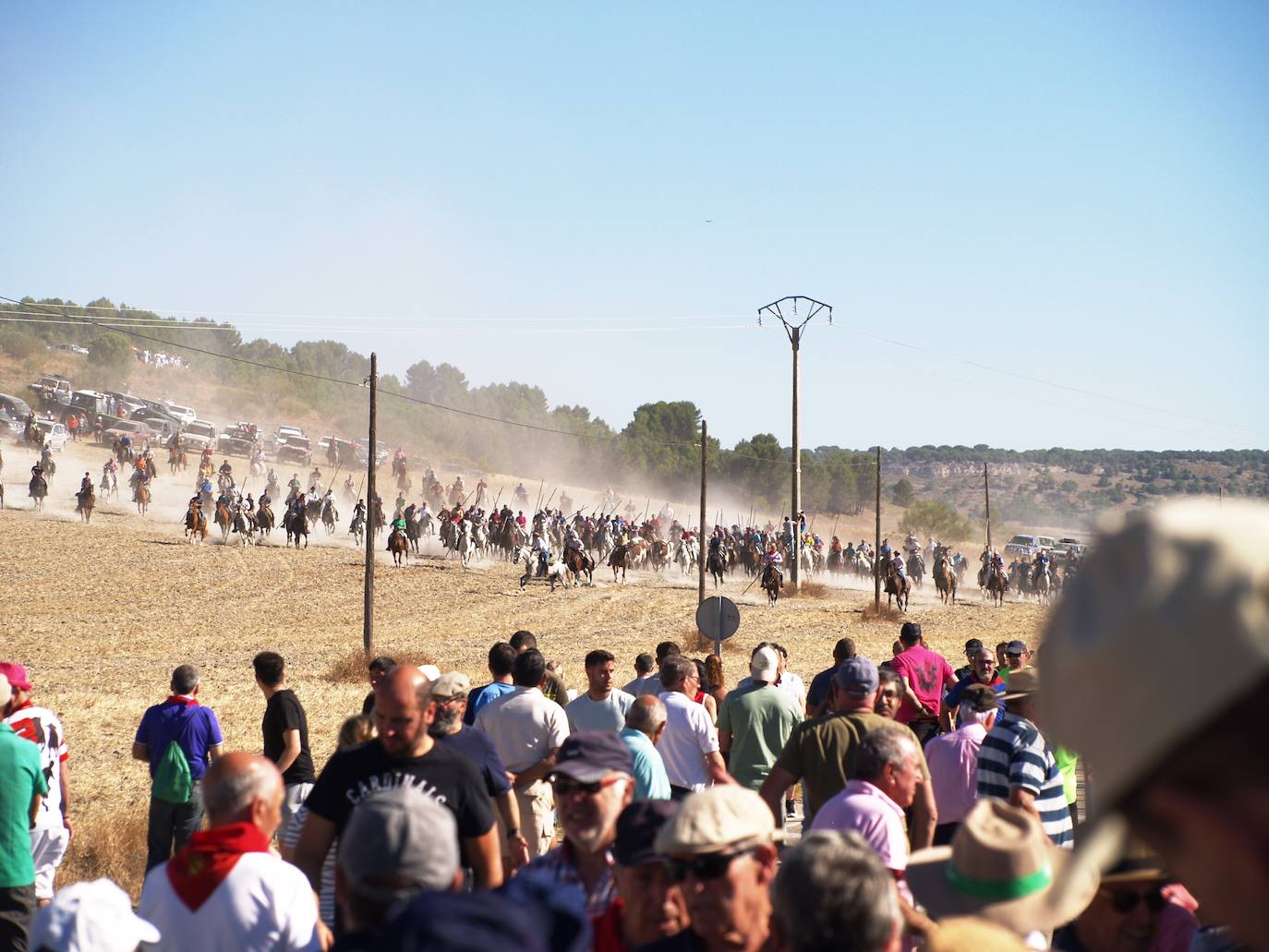 El encierro mixto de Íscar, en imágenes