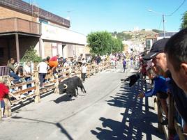 Imágenes del encierro mixto de Íscar