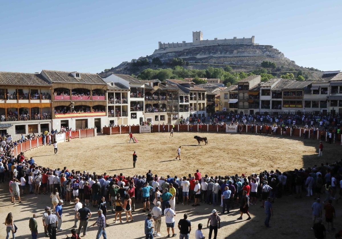 Plaza del Coso donde se sueltan toros por dentro y fuera del ruedo