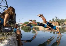 Integrantes del Club Deportivo Triatlón de Laguna se lanzan al agua en el Canal de Castilla.