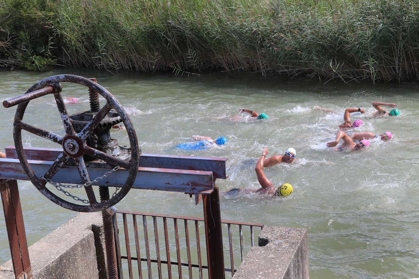 V Travesía a nado Canal de Castilla en Paredes de Nava