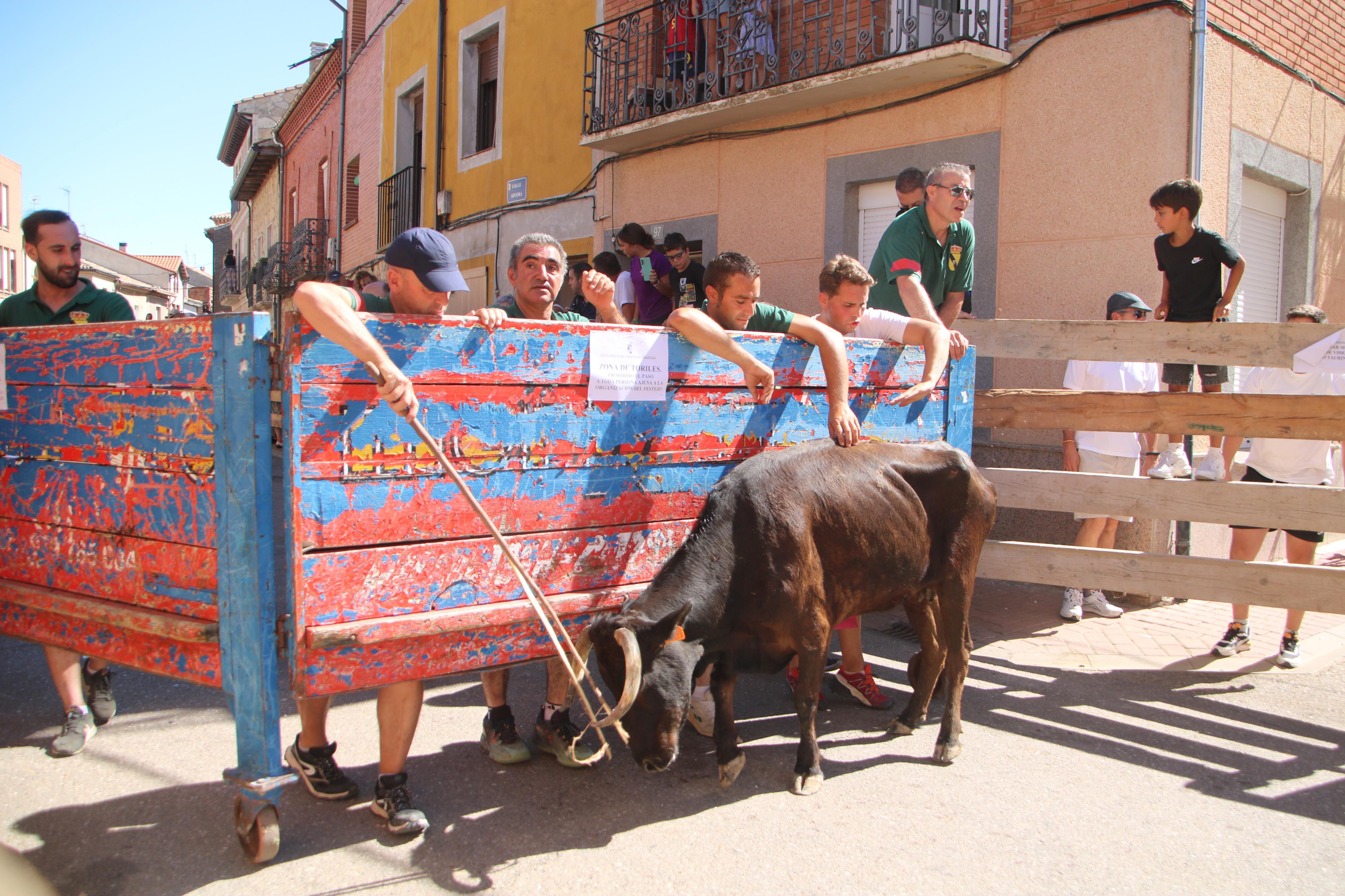 Torquemada, fiel a los encierros tradicionales