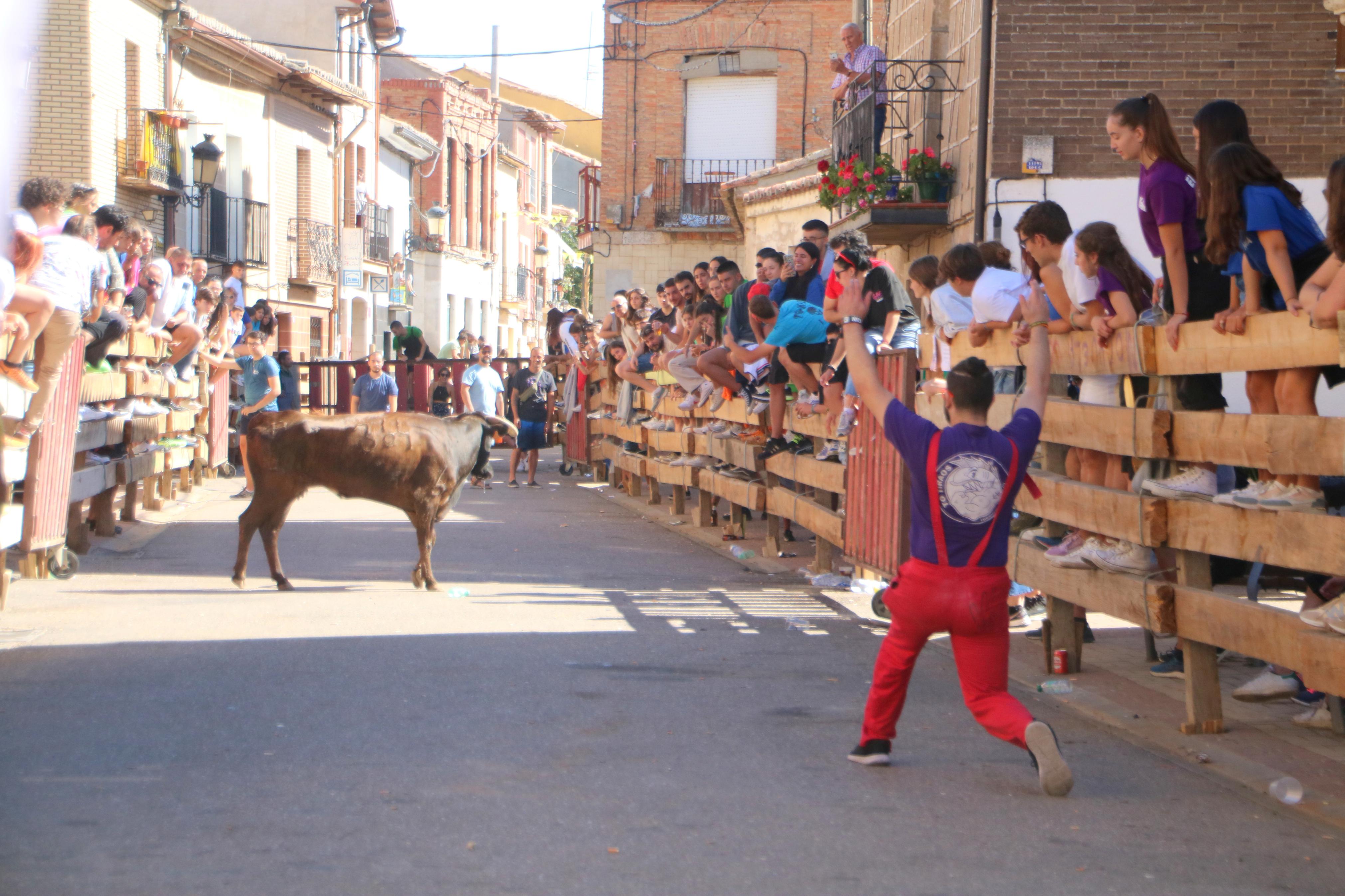 Torquemada, fiel a los encierros tradicionales