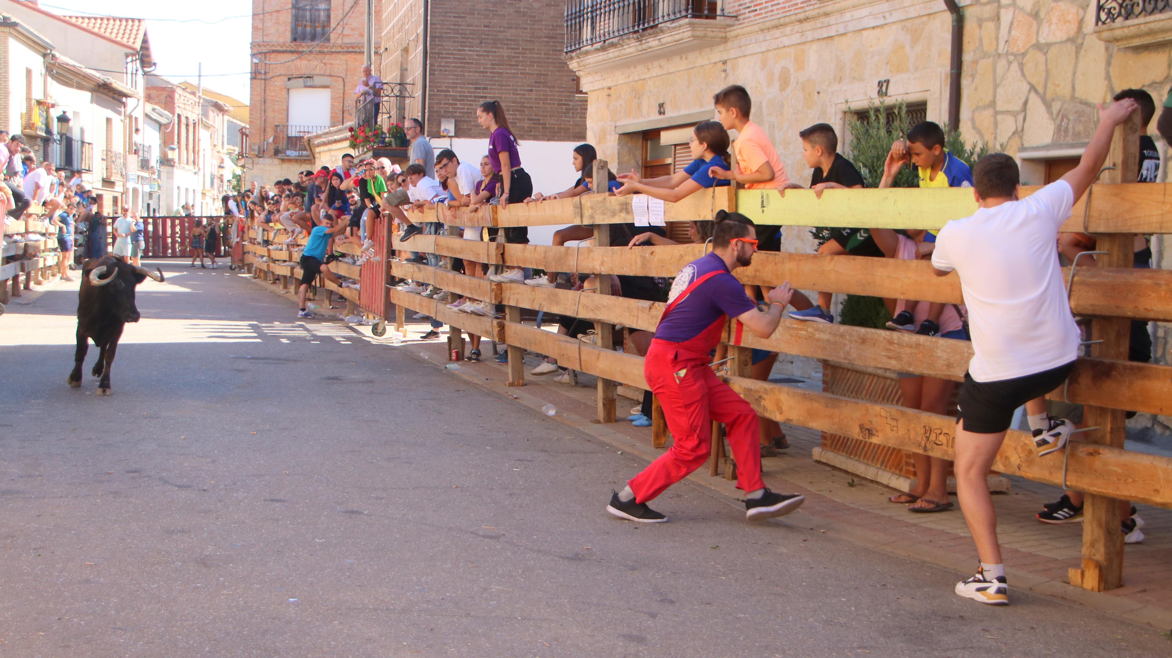 Torquemada, fiel a los encierros tradicionales