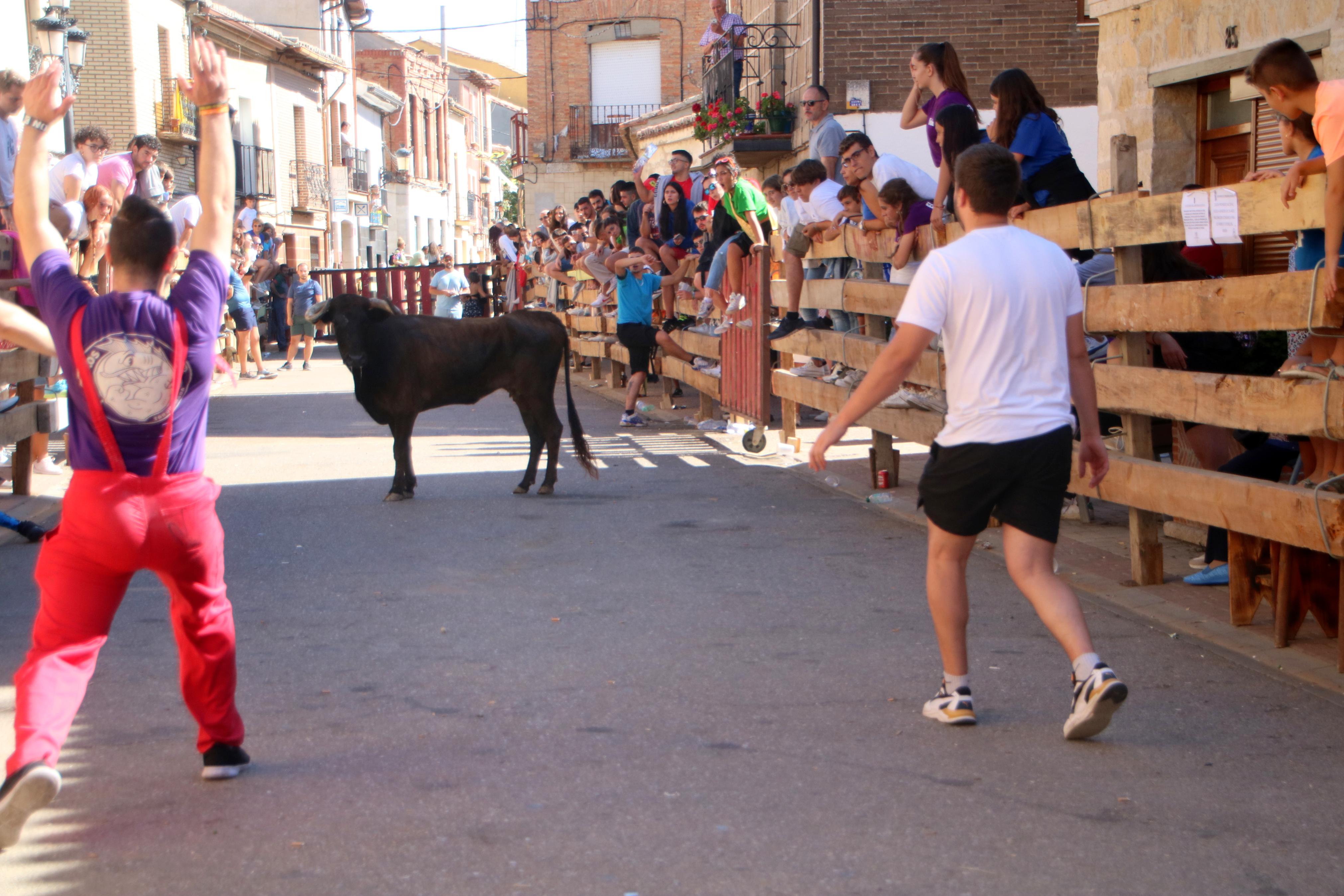 Torquemada, fiel a los encierros tradicionales