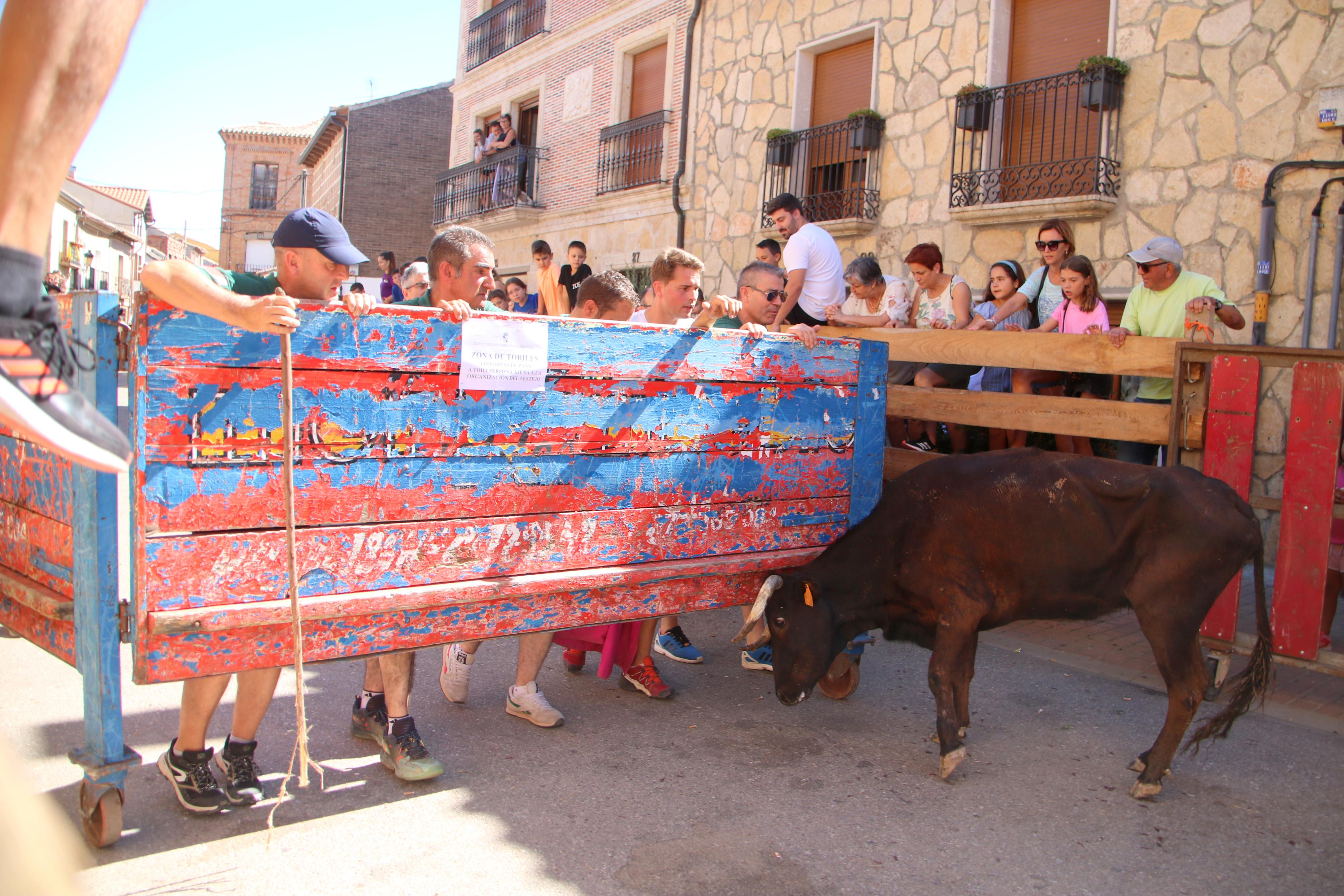 Torquemada, fiel a los encierros tradicionales