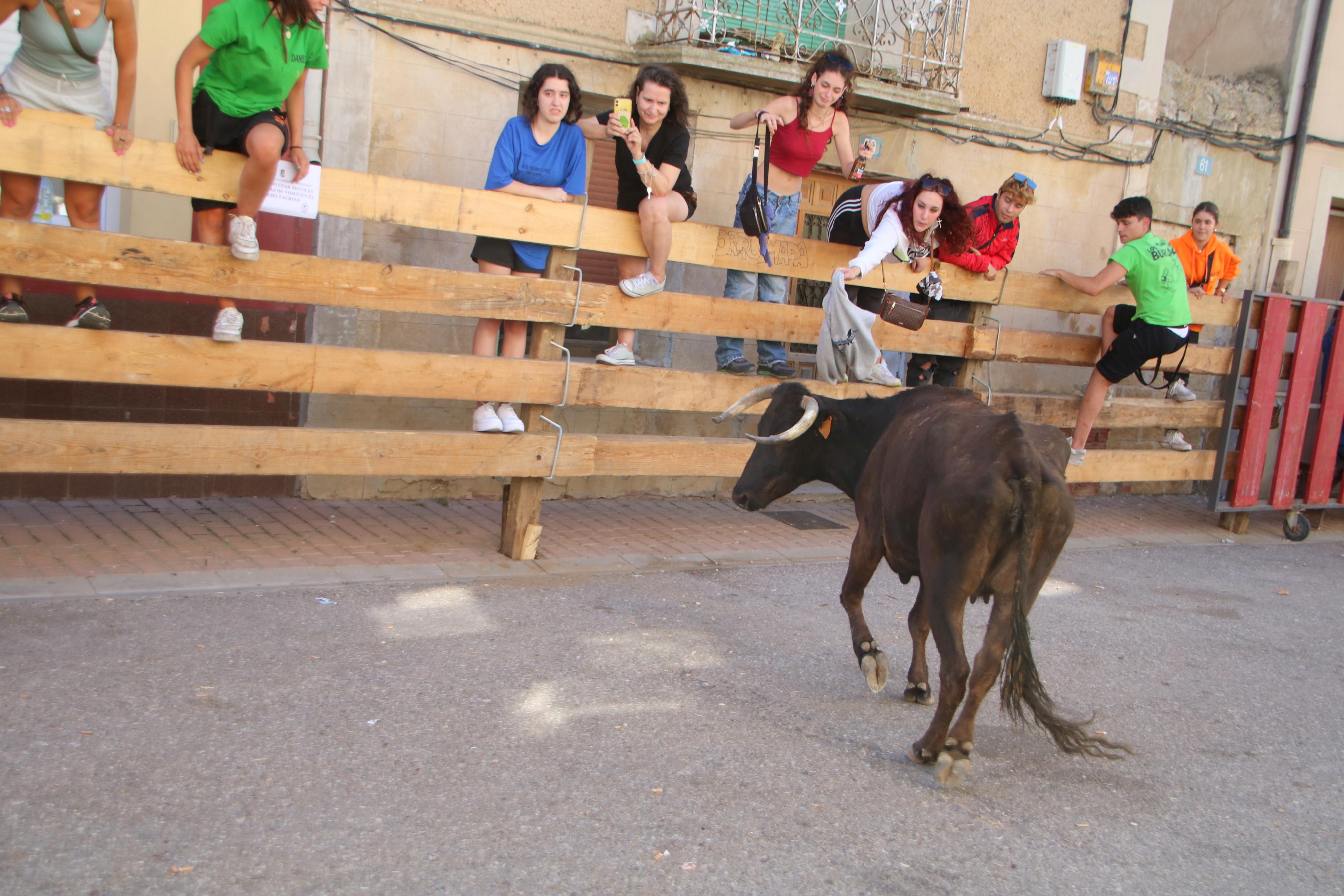 Torquemada, fiel a los encierros tradicionales
