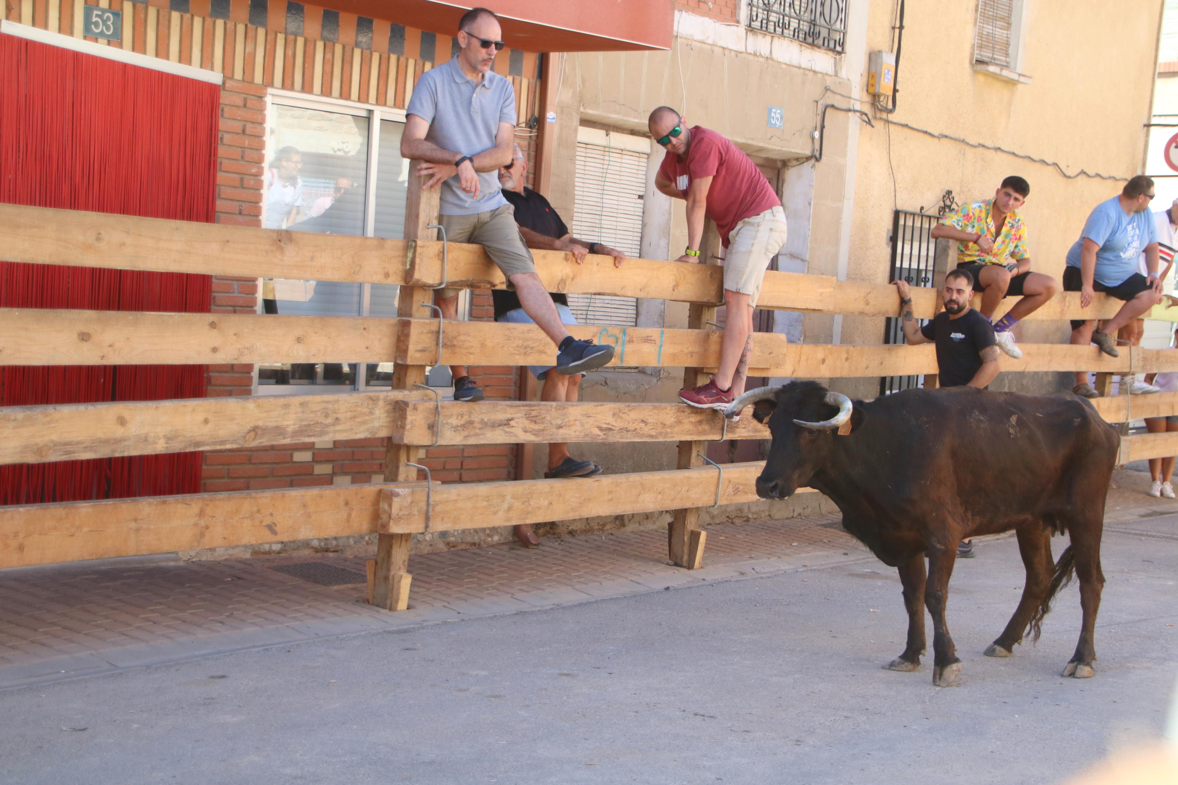 Torquemada, fiel a los encierros tradicionales