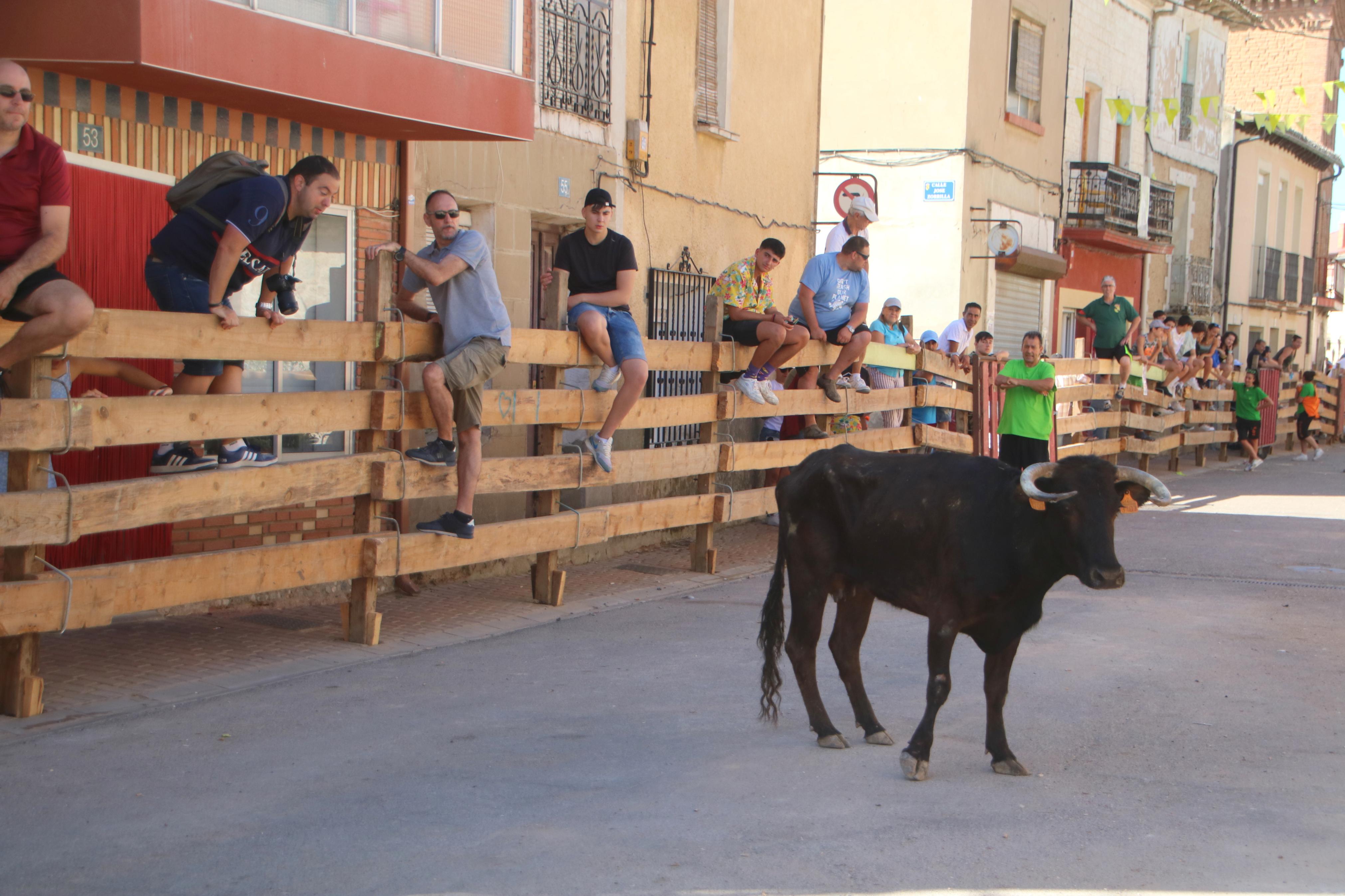 Torquemada, fiel a los encierros tradicionales