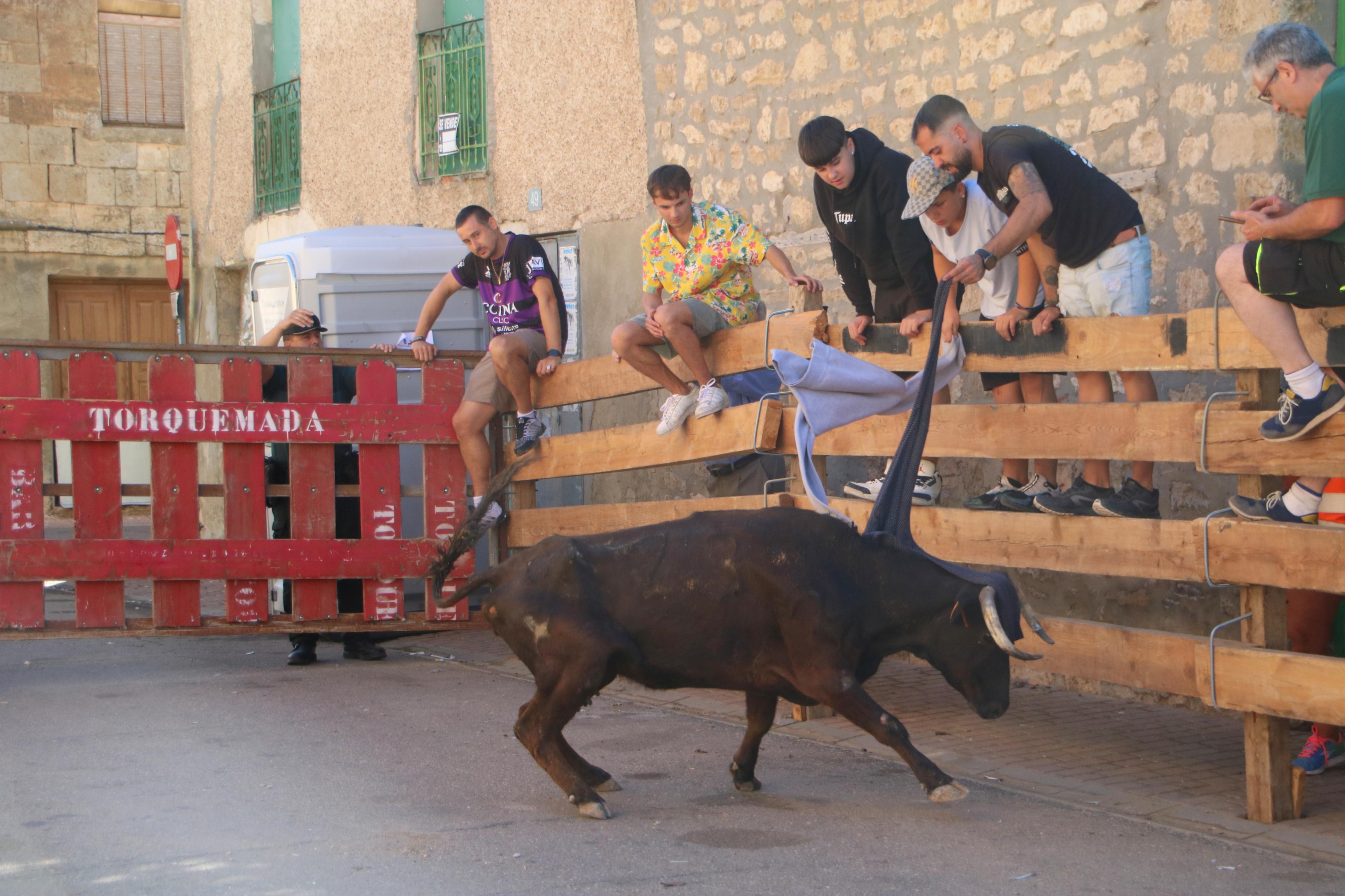 Torquemada, fiel a los encierros tradicionales