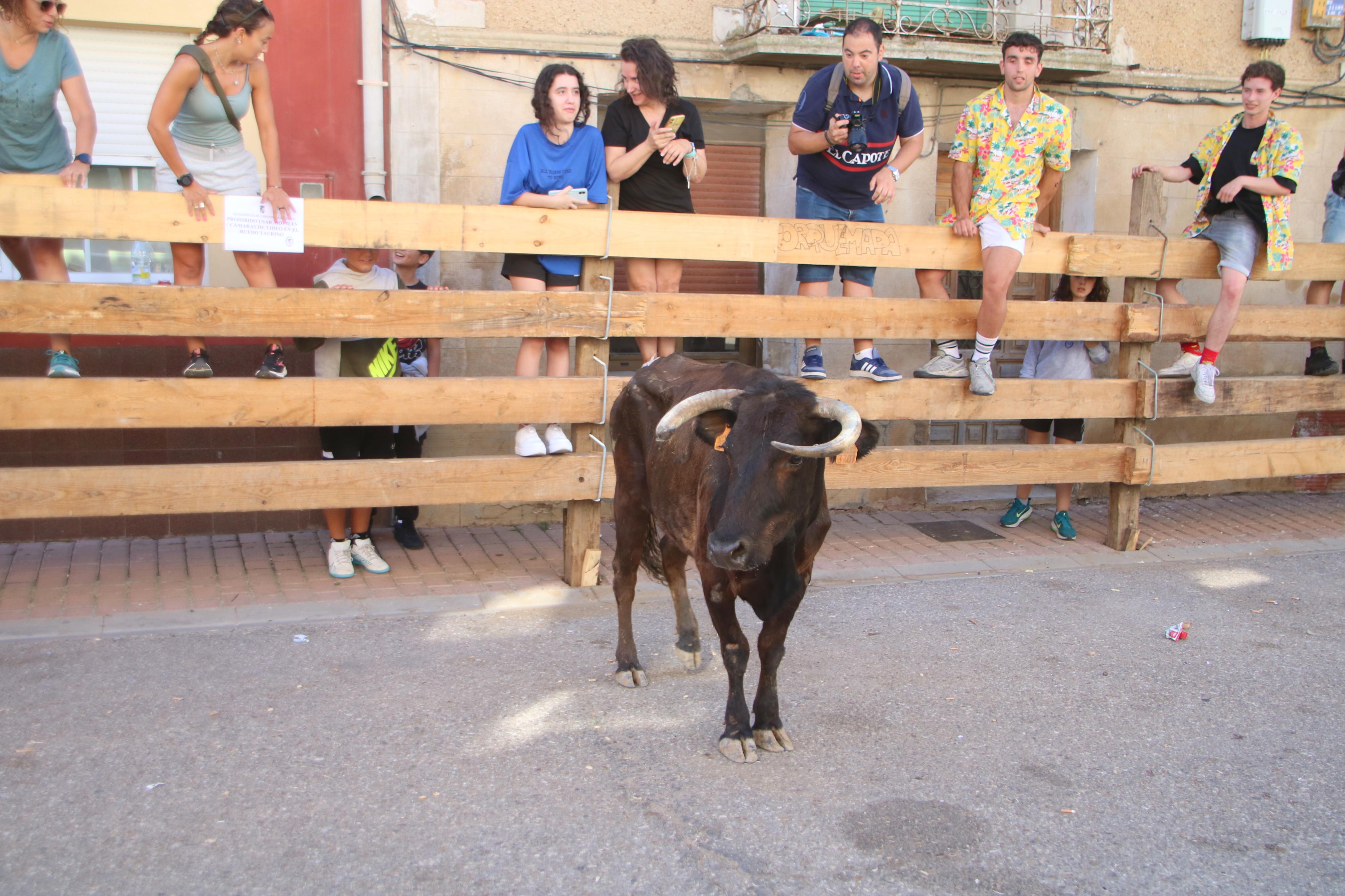 Torquemada, fiel a los encierros tradicionales