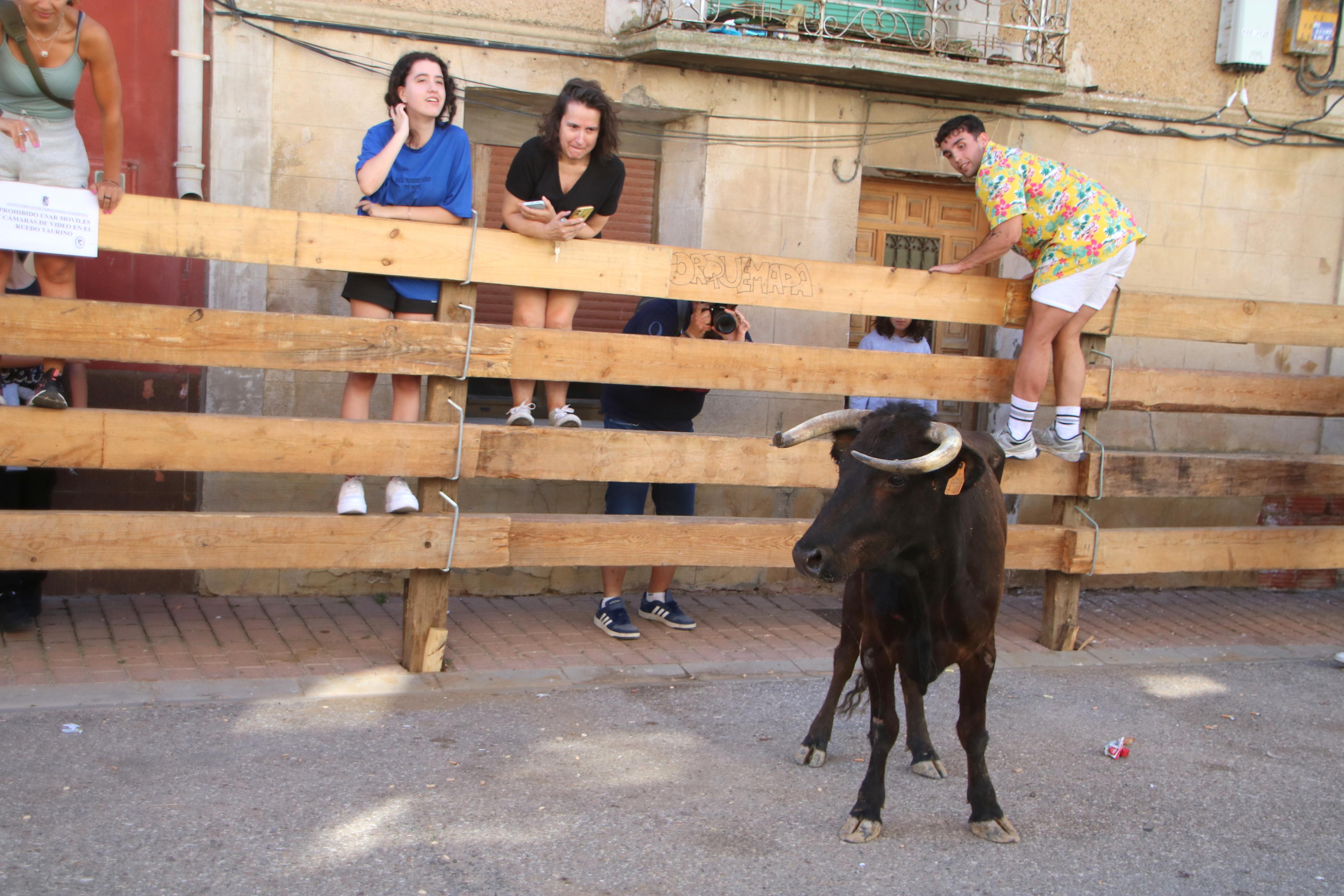 Torquemada, fiel a los encierros tradicionales