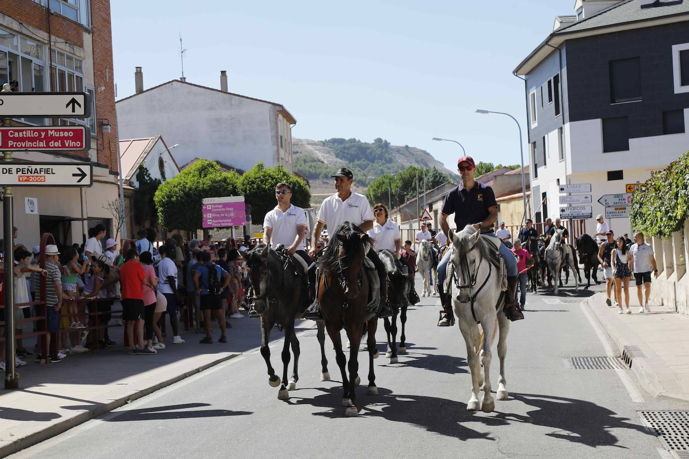 En imágenes, la trashumancia en Peñafiel a un día de comenzar las fiestas