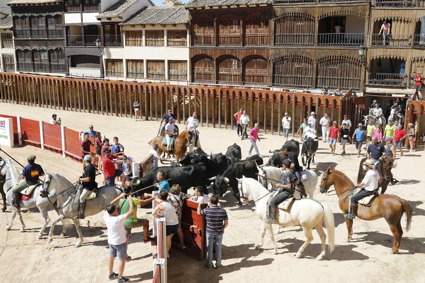 En imágenes, la trashumancia en Peñafiel a un día de comenzar las fiestas