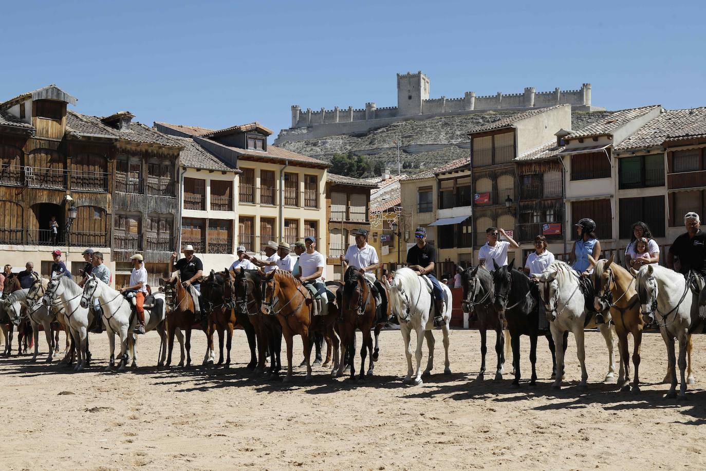 En imágenes, la trashumancia en Peñafiel a un día de comenzar las fiestas