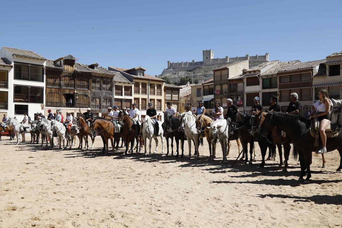 En imágenes, la trashumancia en Peñafiel a un día de comenzar las fiestas